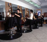 image of logo of First Choice Haircutters franchise business opportunity First Choice Haircutter franchises First Choice Haircutters franchising