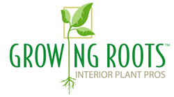 image of logo of Growing Roots franchise business opportunity Growing Roots franchises Growing Roots franchising
