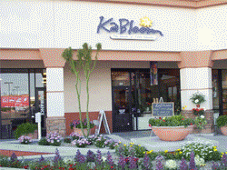 image of logo of Kabloom franchise business opportunity Kabloom floral franchises Kabloom florist franchising