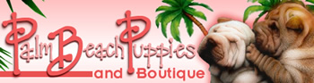 image of logo of Palm Beach Puppies franchise business opportunity Palm Beach Puppy franchises Palm Beach Puppies franchising